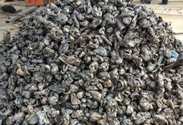 汽車外殼撕碎機