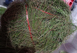 工業垃圾打包機