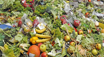 餐廚垃圾分選機